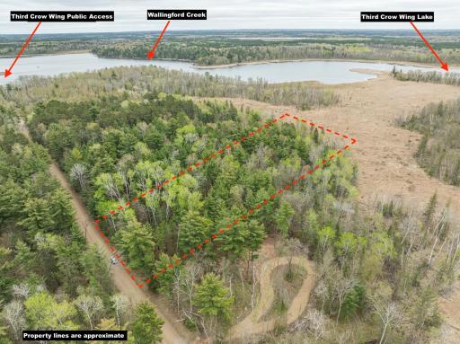 TBD Chokecherry Drive, Nevis, MN 56467