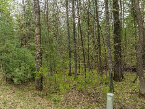 TBD Chokecherry Drive, Nevis, MN 56467