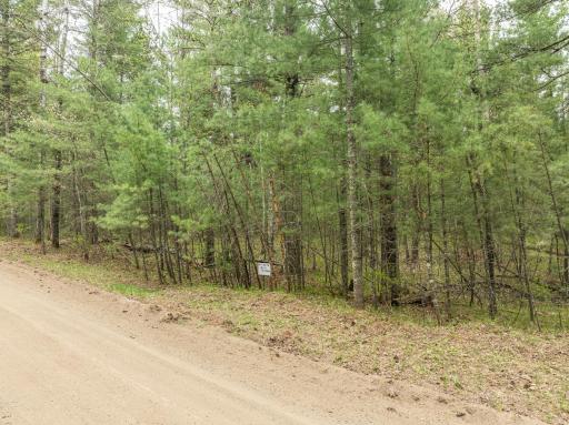 TBD Chokecherry Drive, Nevis, MN 56467