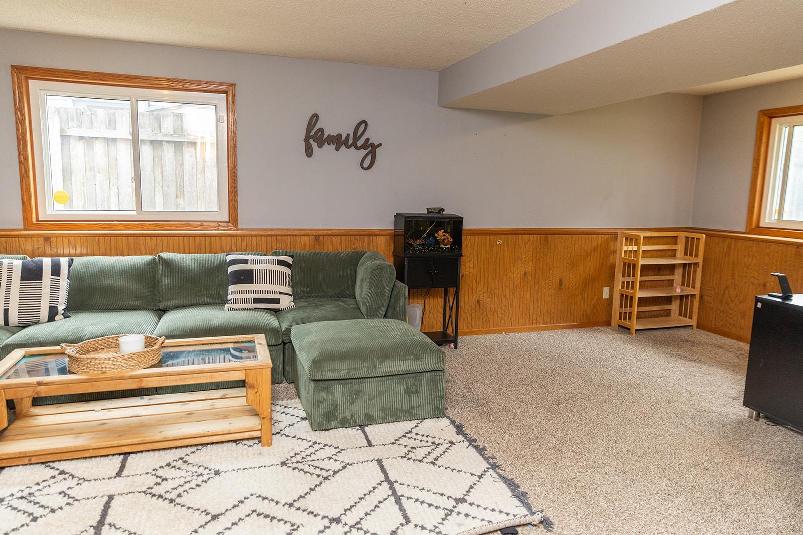 Lower level Family room