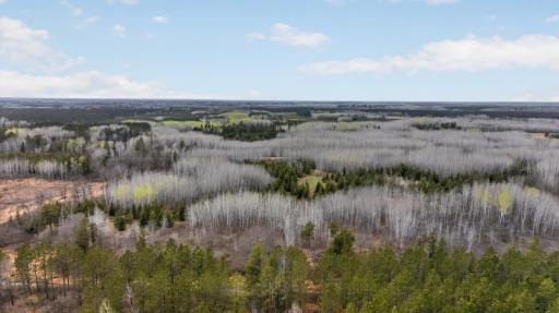 36046 229th Avenue, Menahga, MN 56464