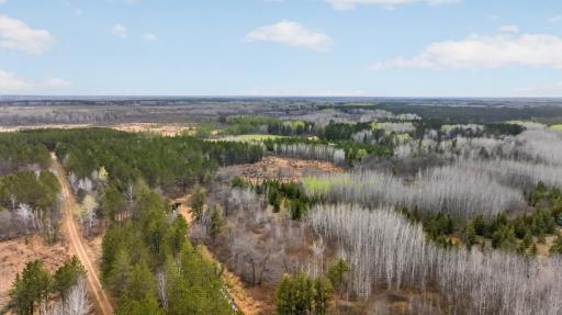 36046 229th Avenue, Menahga, MN 56464