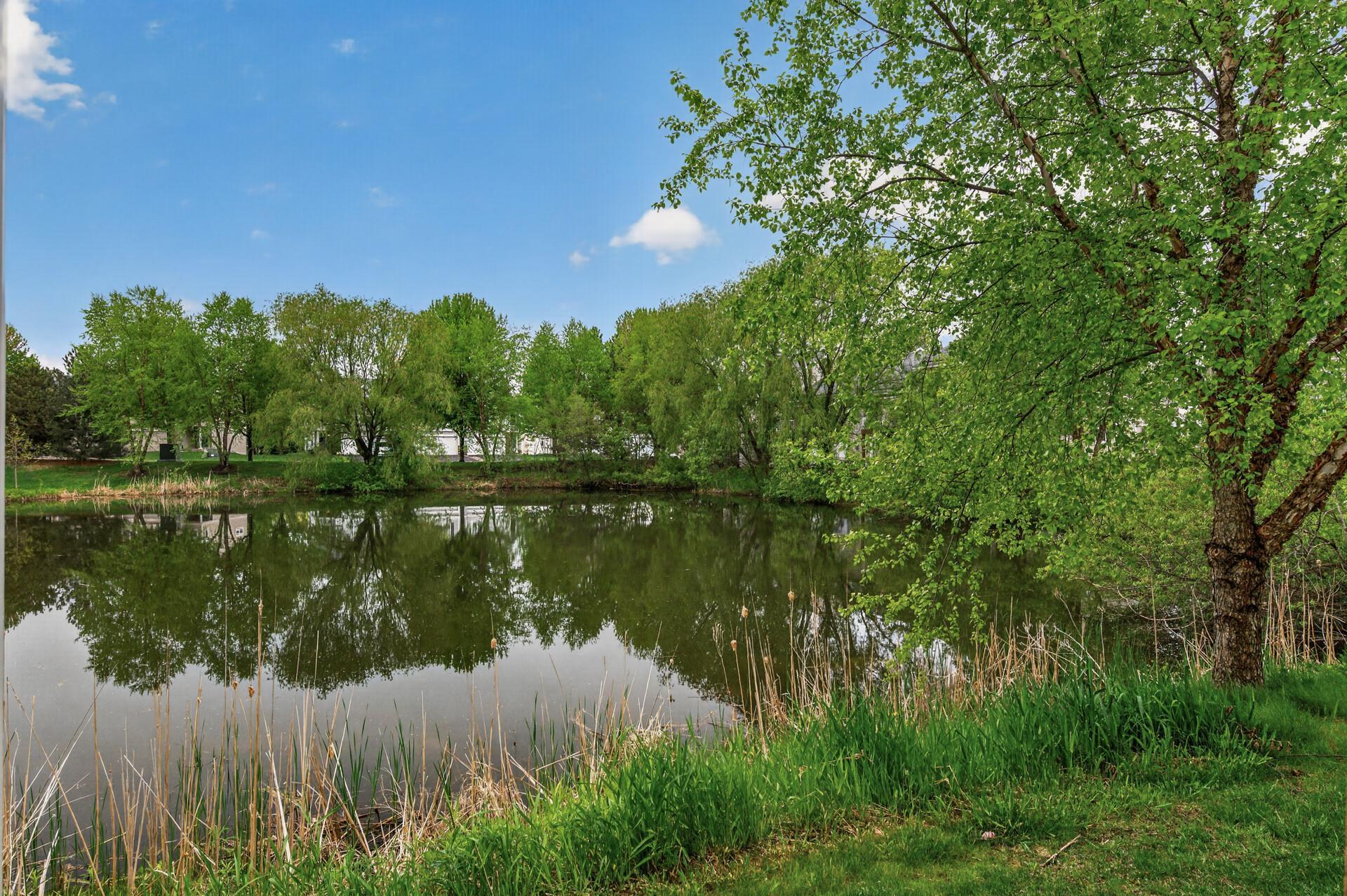 Pond in the backyard of the home.