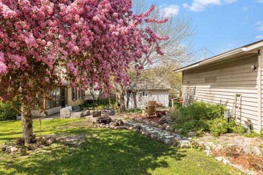 Welcome Change with the Perennials Blooming