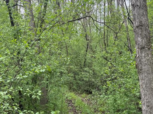 13xxx Hwy 23, Milaca, MN 56353
