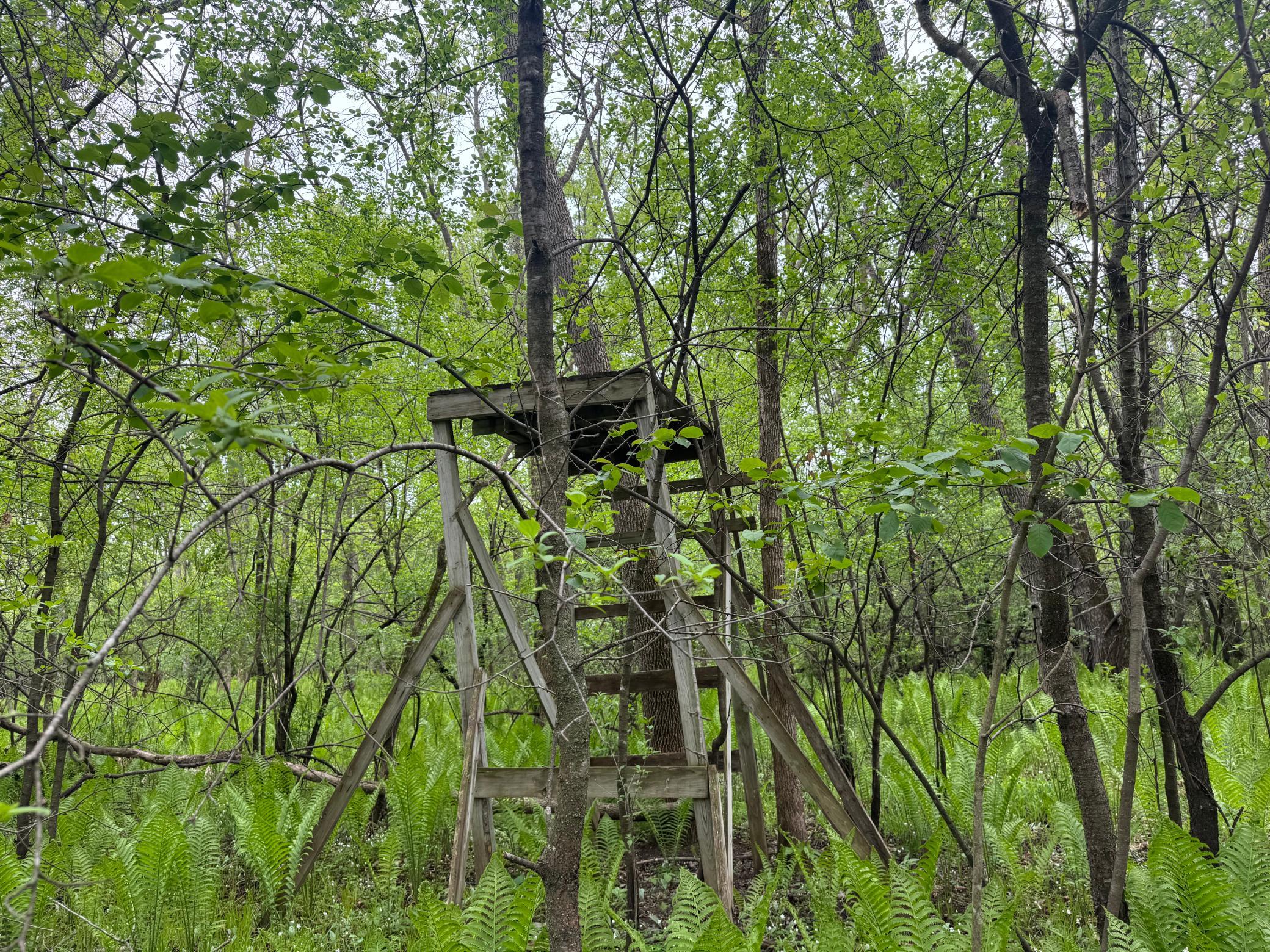 Photo 4
