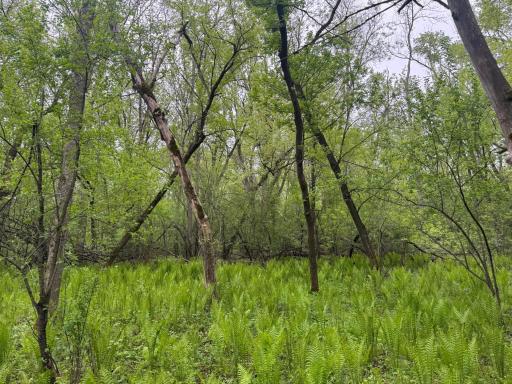 13xxx Hwy 23, Milaca, MN 56353