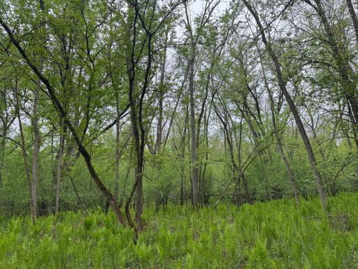 13xxx Hwy 23, Milaca, MN 56353