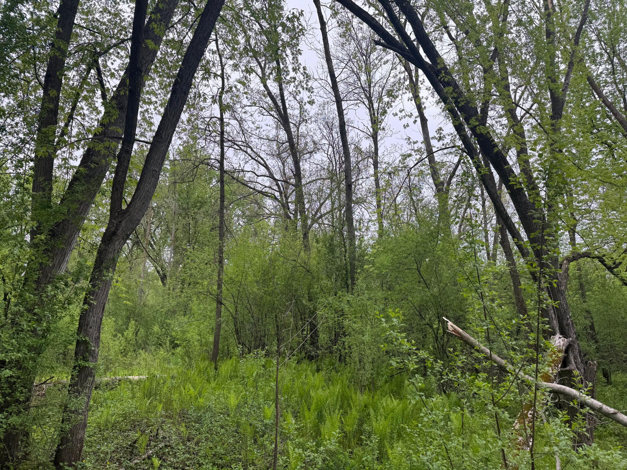 Photo 18