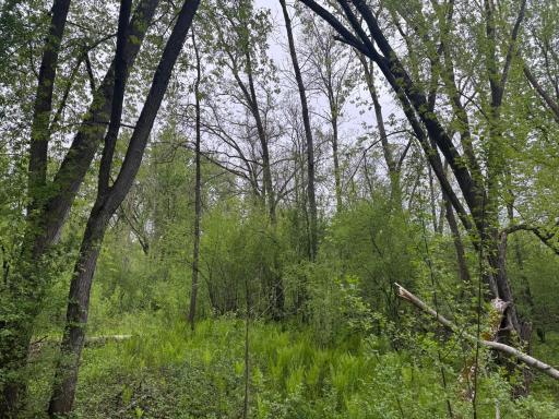 13xxx Hwy 23, Milaca, MN 56353