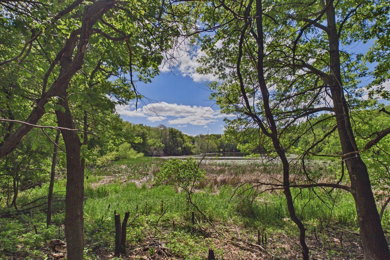 1/2 mile trail around the lake