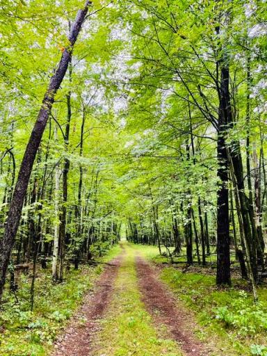 14475 County Road O, Grantsburg, WI 54840