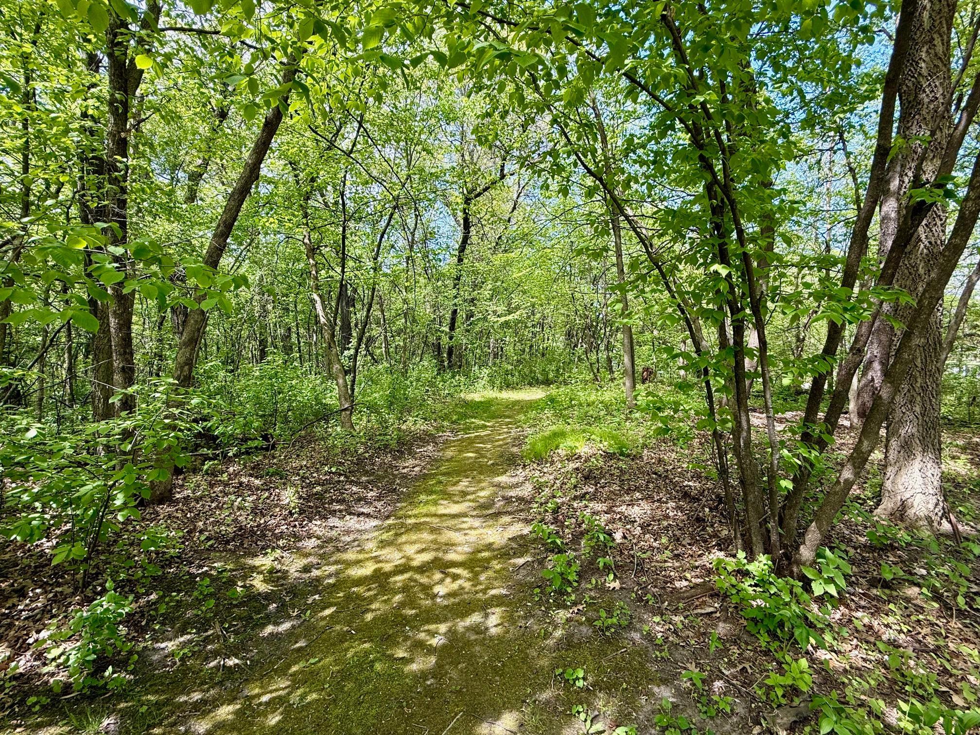 Private setting offers lovely wooded paths and wildlife.