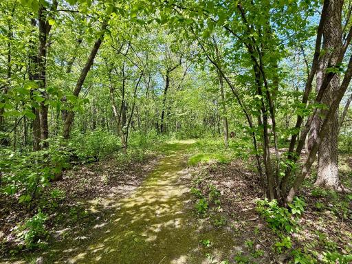 Private setting offers lovely wooded paths and wildlife.