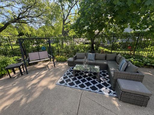 Vines will fill in and make for more privacy