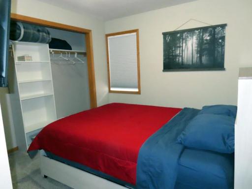 720 MAIN FLOOR BR CLOSET AREA.jpg