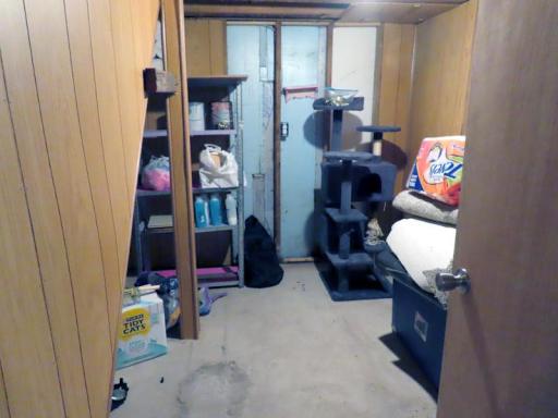 720 BSMT STORAGE ROOM.jpg