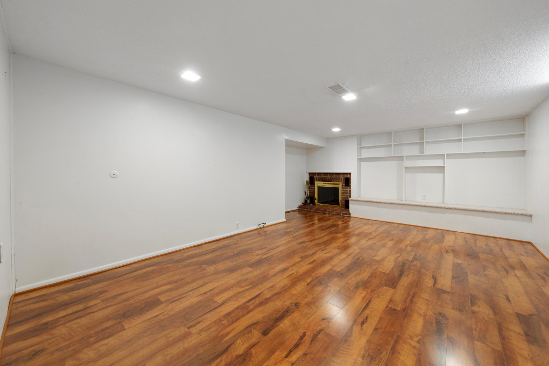 Lower Level Family Room