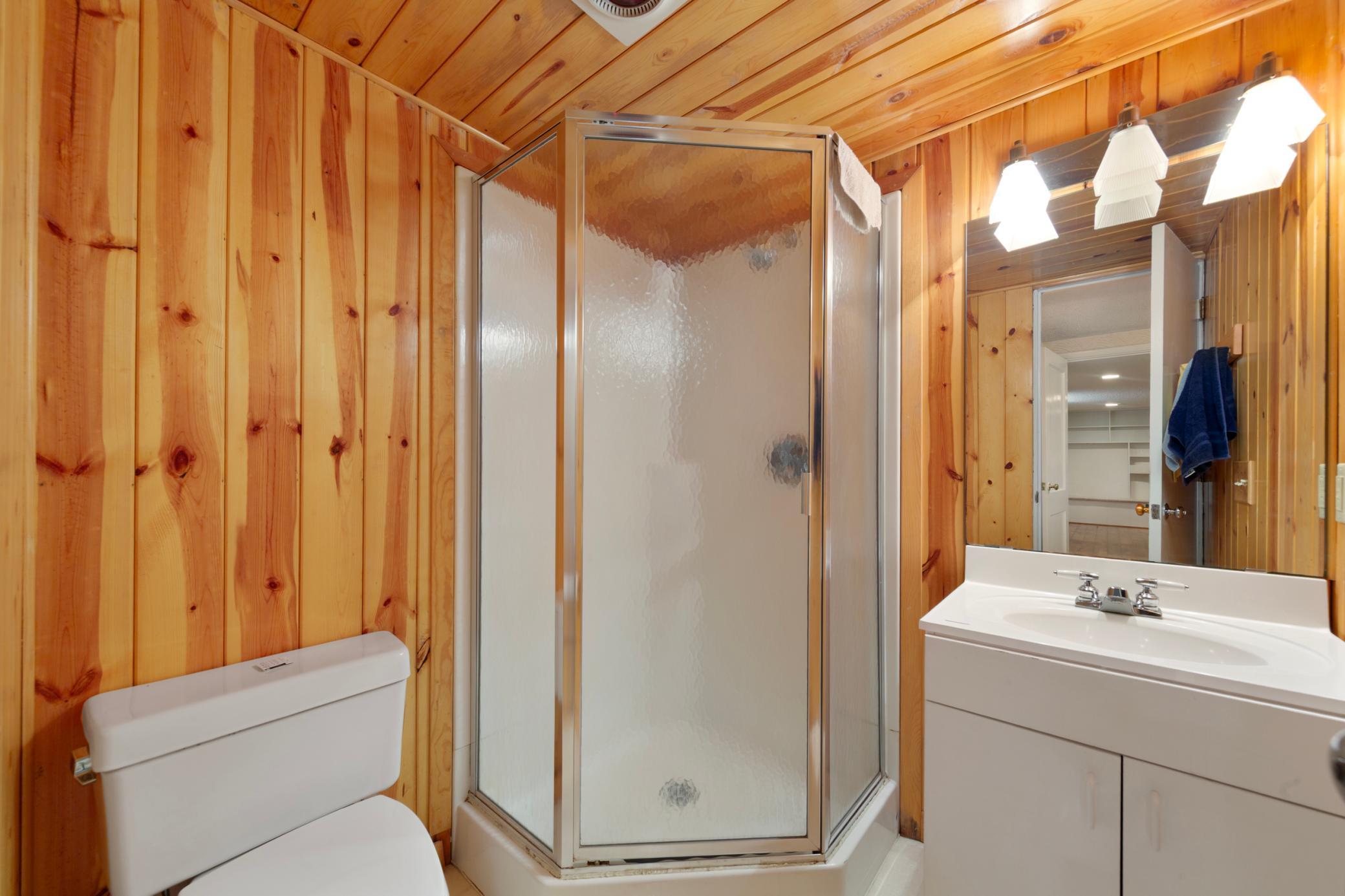 Lower Level Bathroom