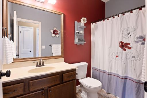 1106 Lorraine Court, Carver, MN 55315