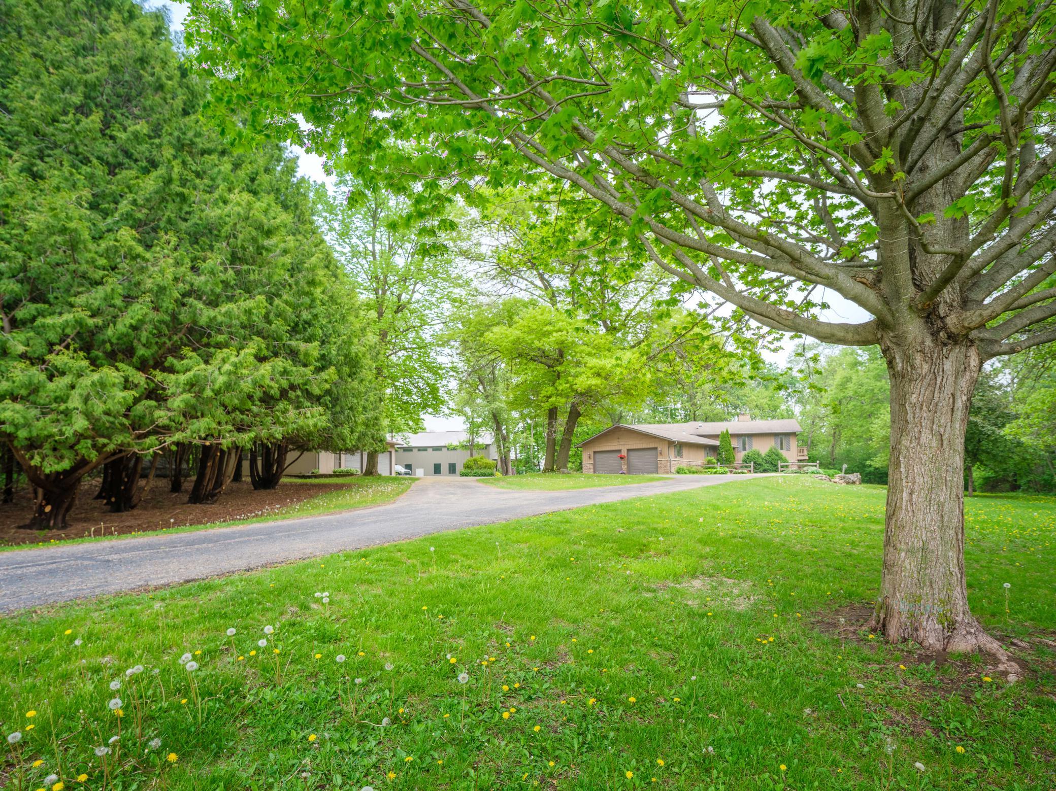 25517 520th St Pine Island-102.jpg