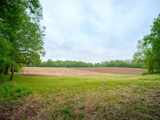 25517 520th Street, Pine Island, MN 55963