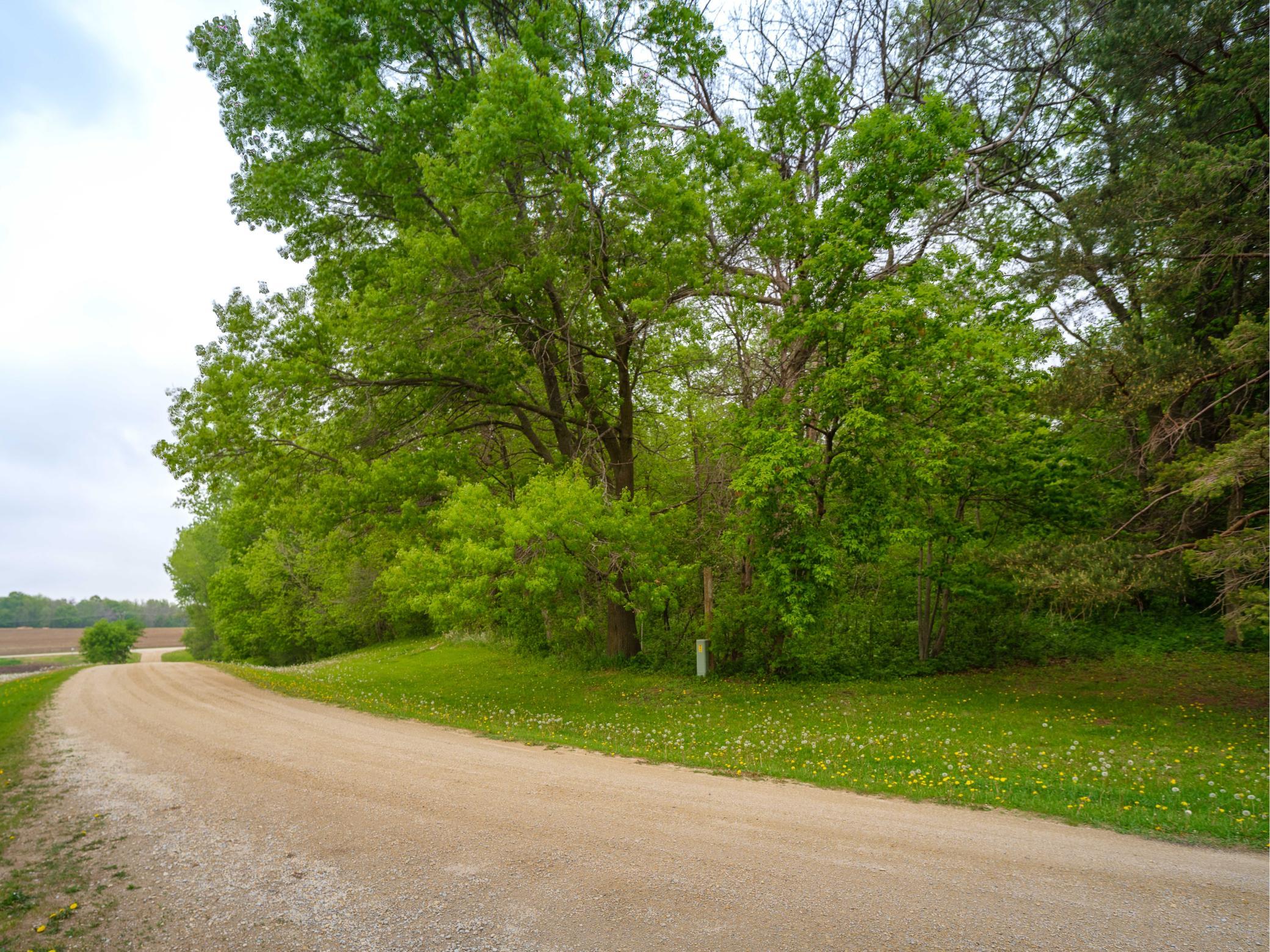 25517 520th St Pine Island-113.jpg