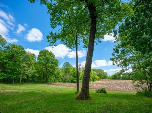 25517 520th Street, Pine Island, MN 55963