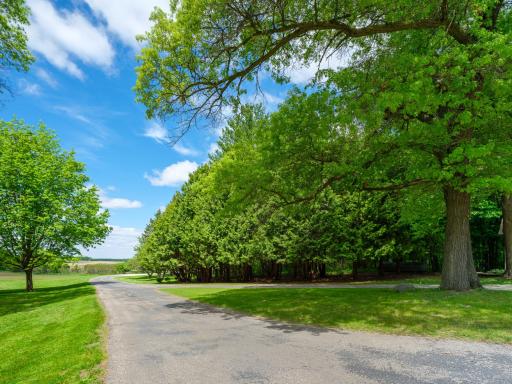 25517 520th Street, Pine Island, MN 55963