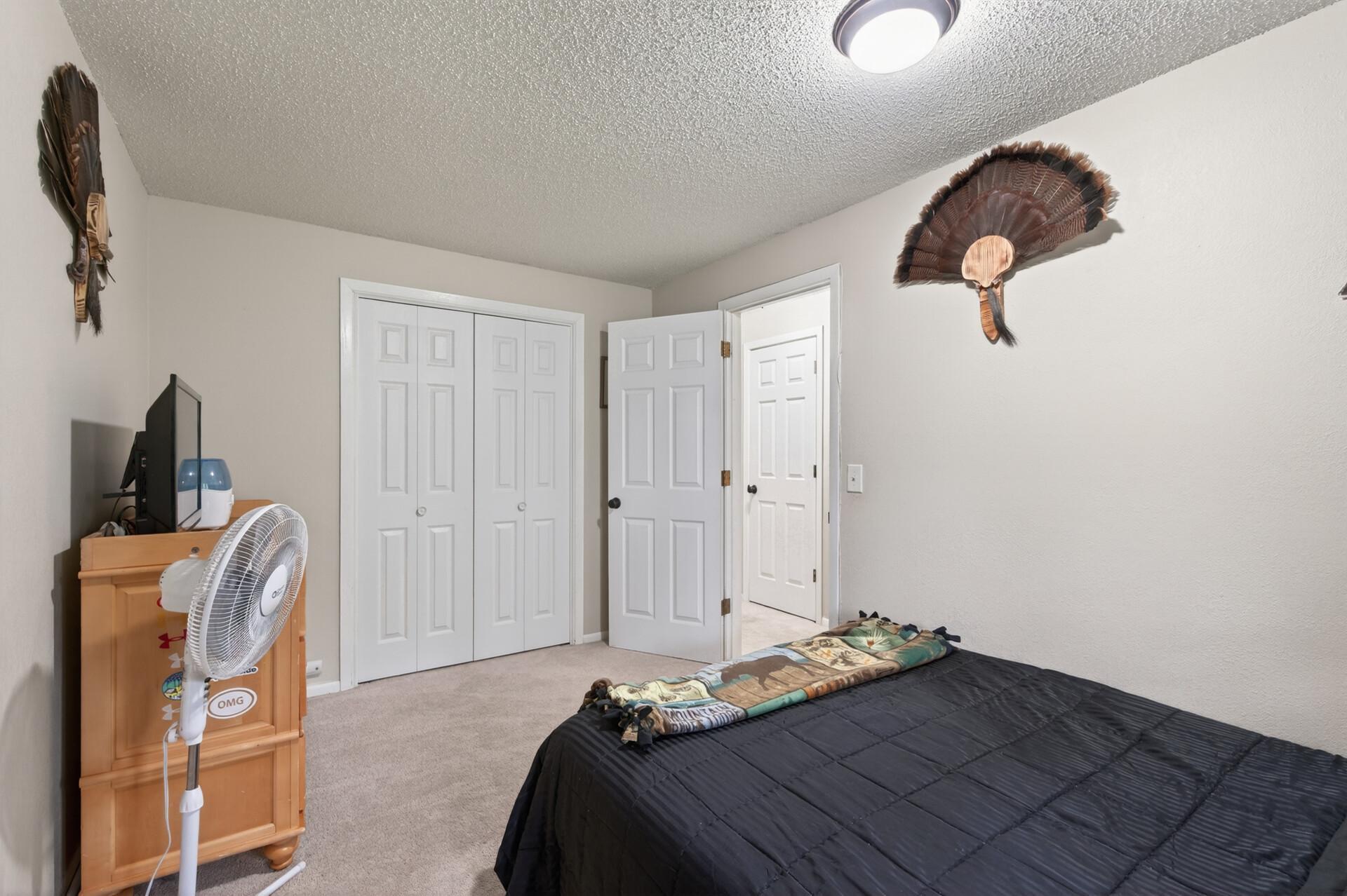 Lower Level Bedroom