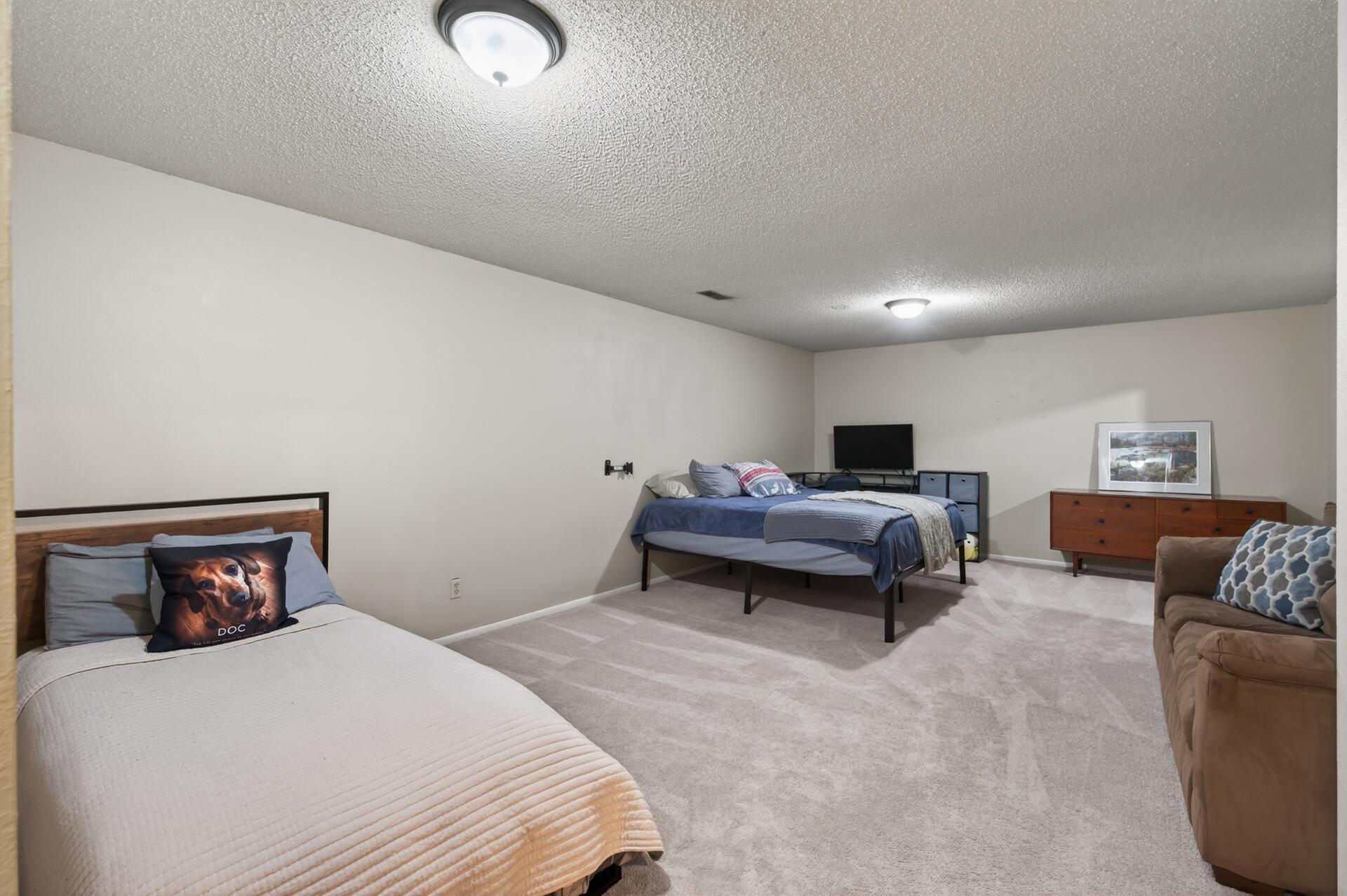 Lower Level Family Room