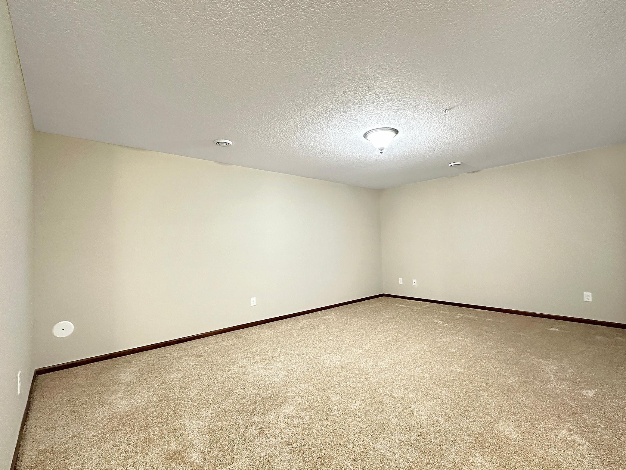 Lower Level Living Room