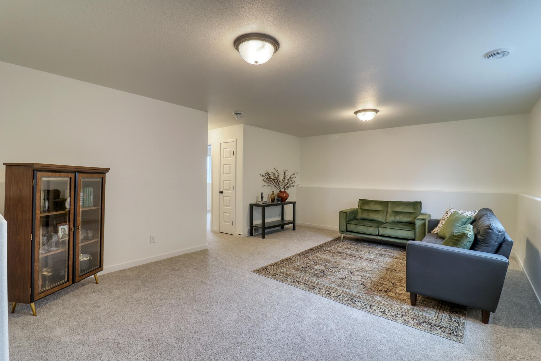 Basement Family Room