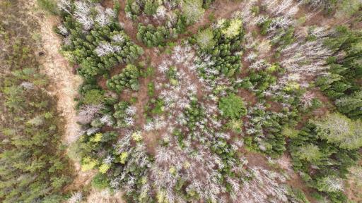 TBD Scout Camp Road, Eveleth, MN 55734