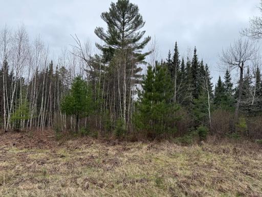 TBD Scout Camp Road, Eveleth, MN 55734