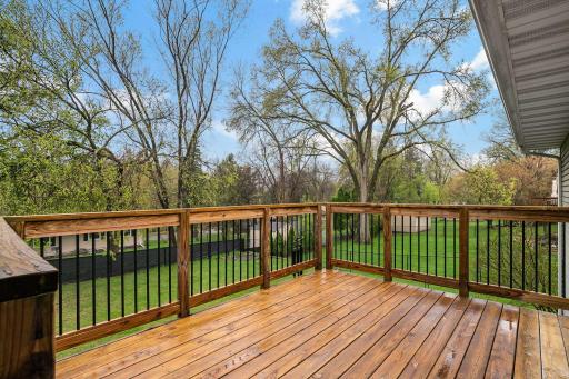 10-web-or-mls-14125 36th Ave N, Minneapolis, MN_0011.jpg