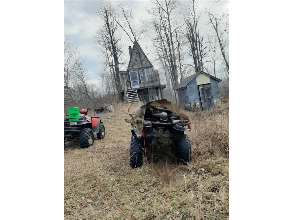 The Shack.jpeg