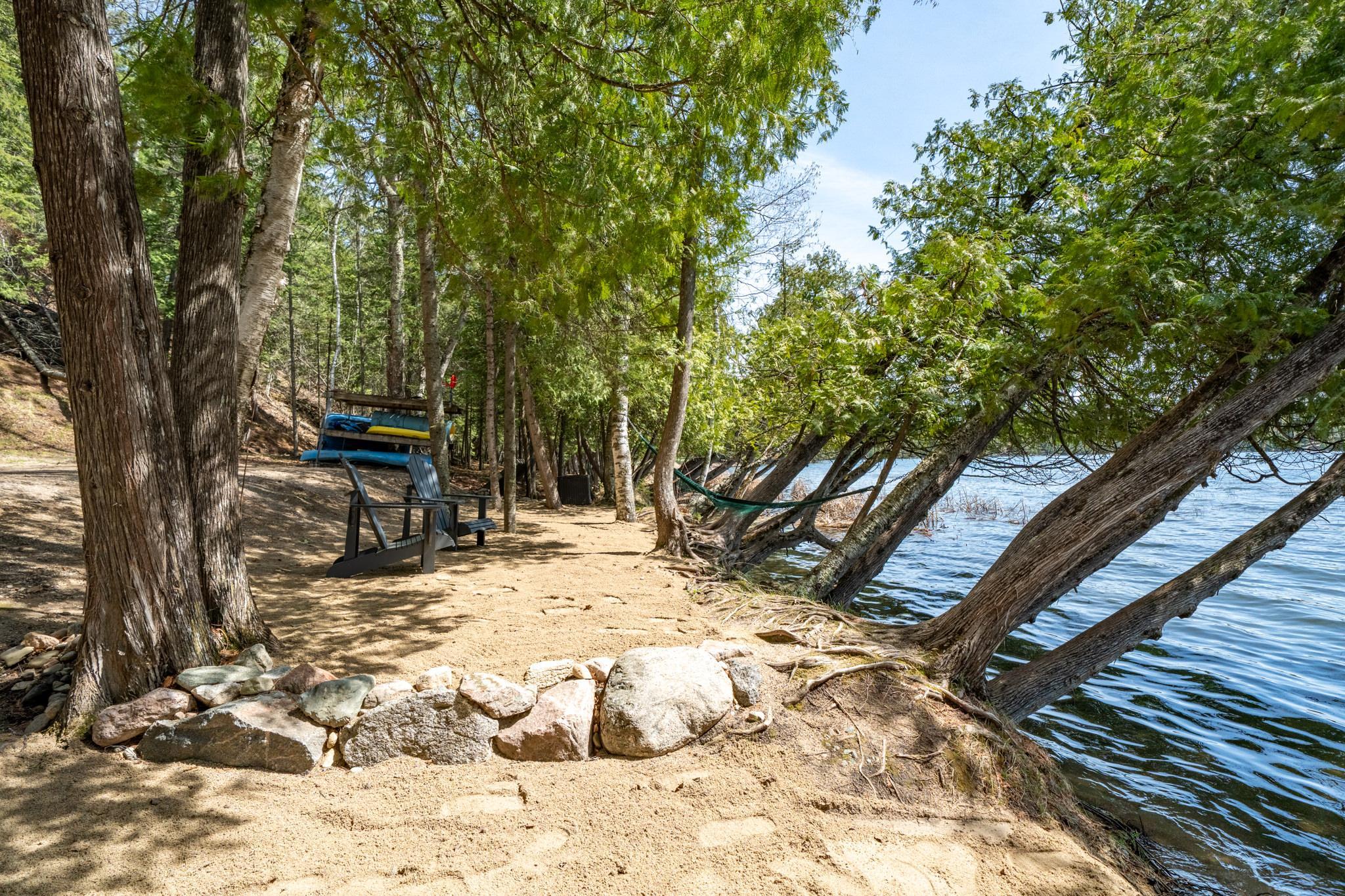 Turtle Lake shoreline
