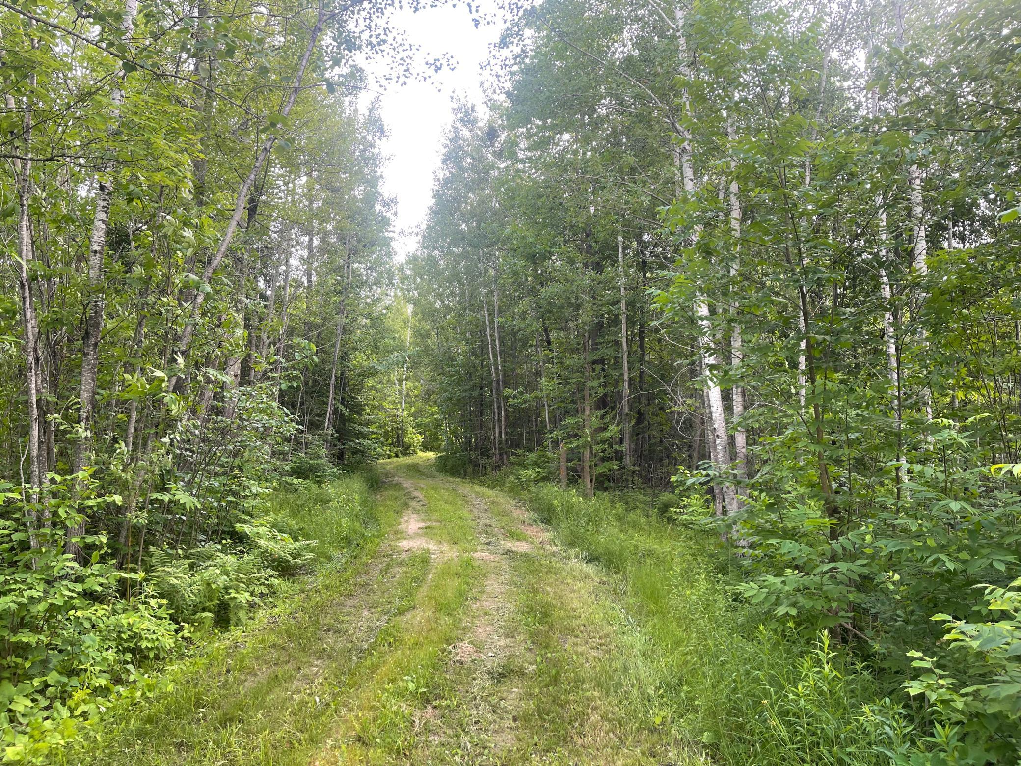 Lots of trails