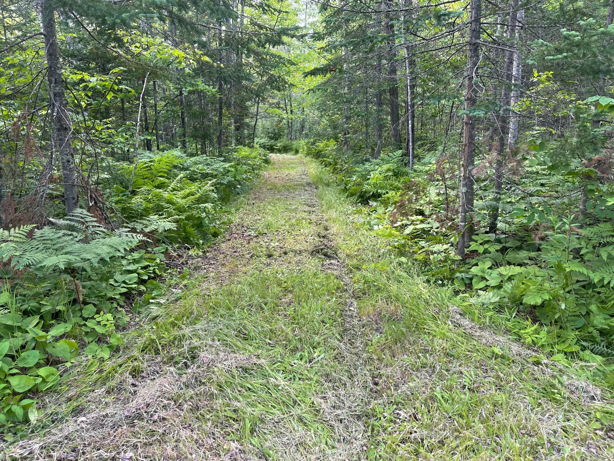 Trails