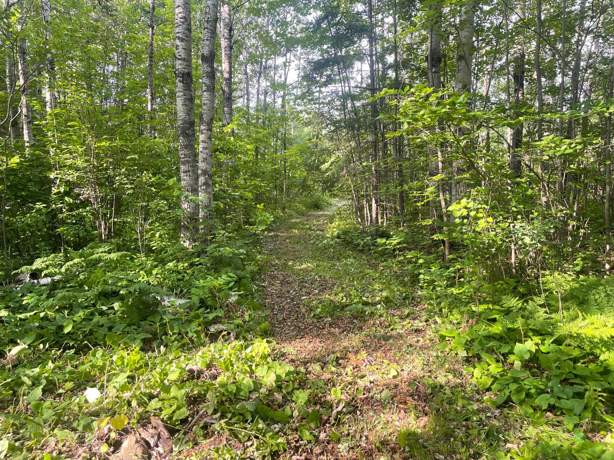 Trails