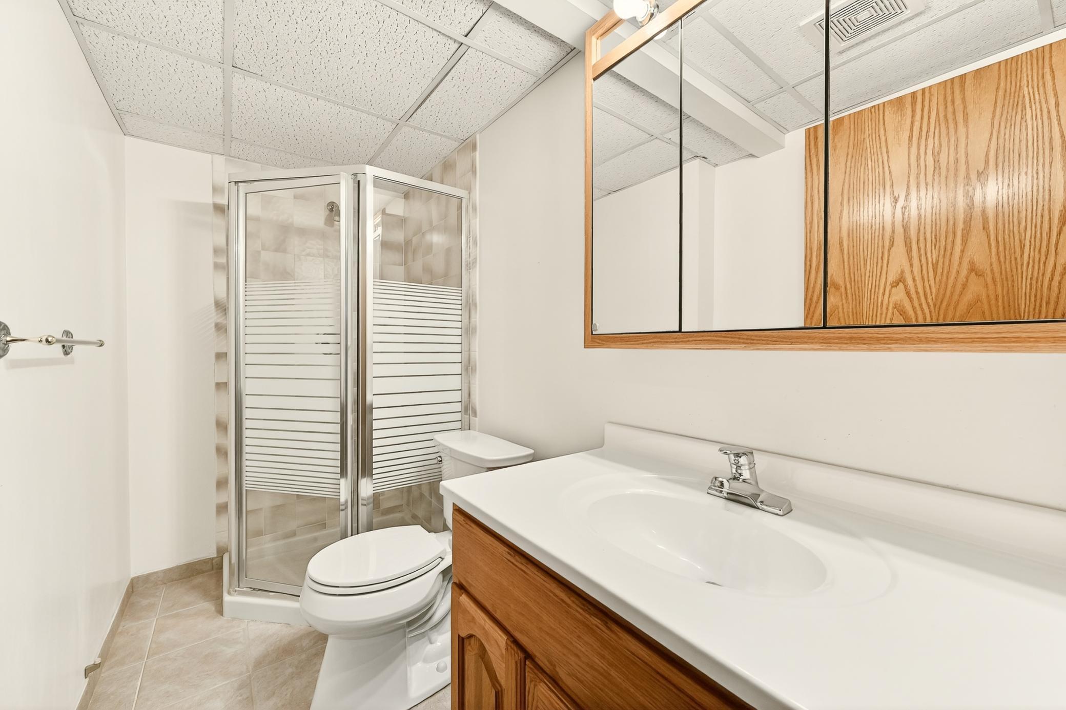 Lower Level Bath