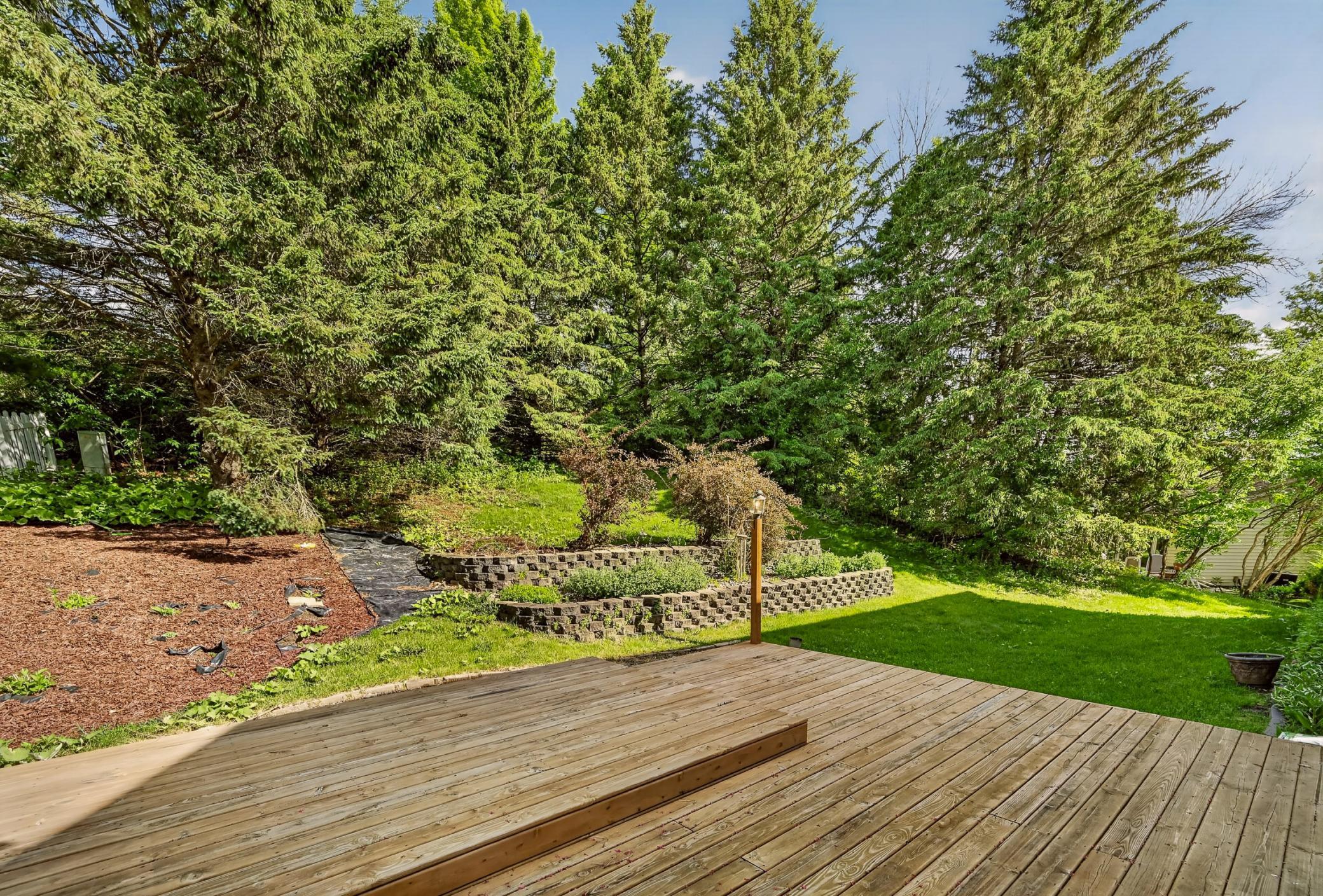 Backyard Deck