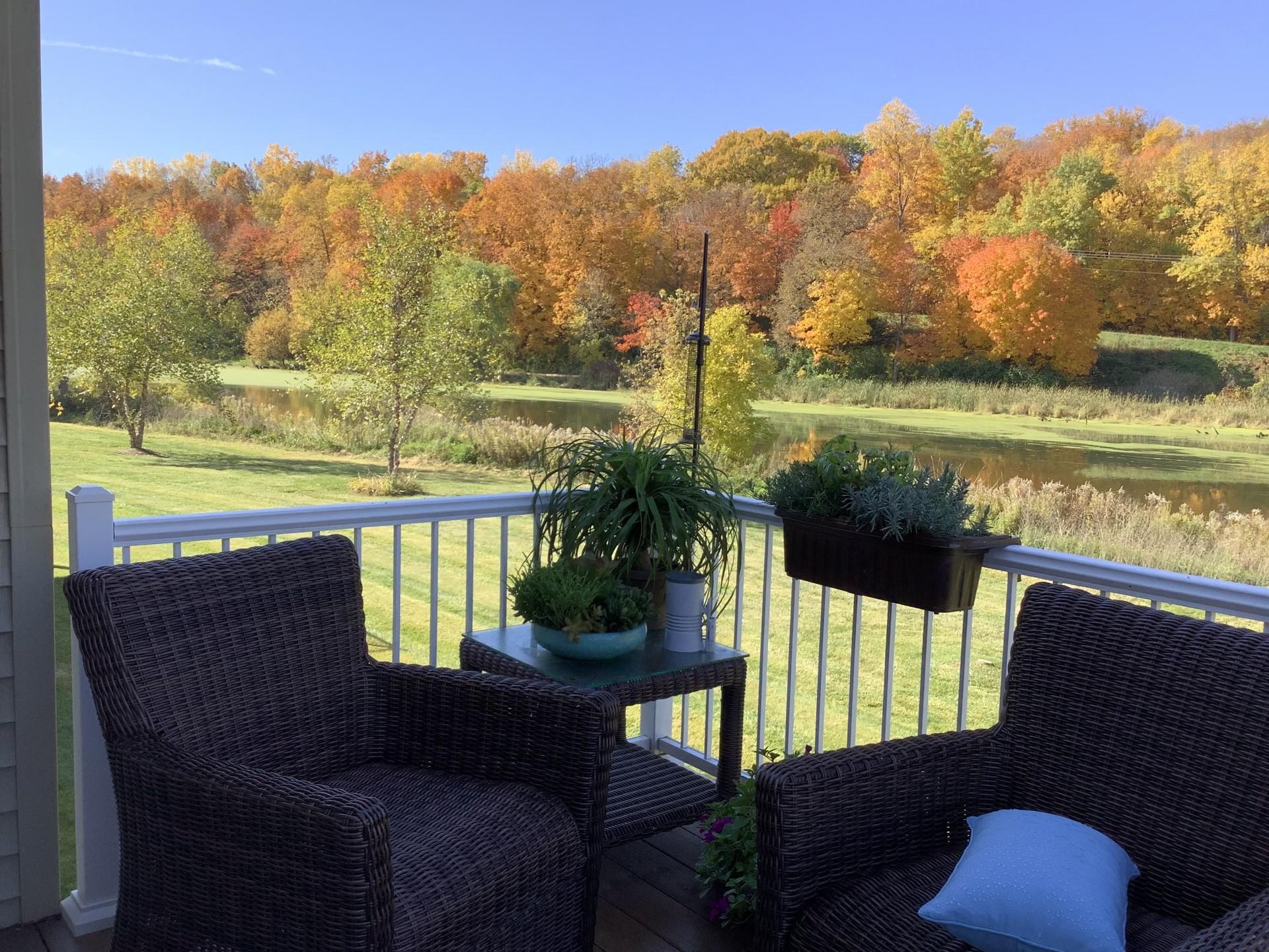 Fall photo from deck.