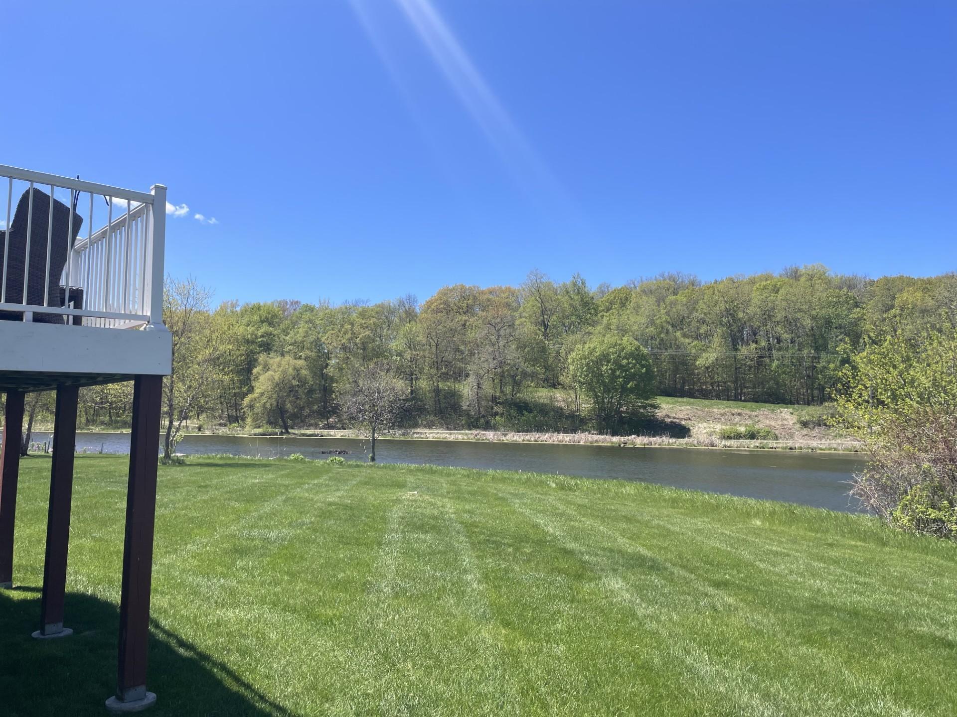 The spacious back yard.