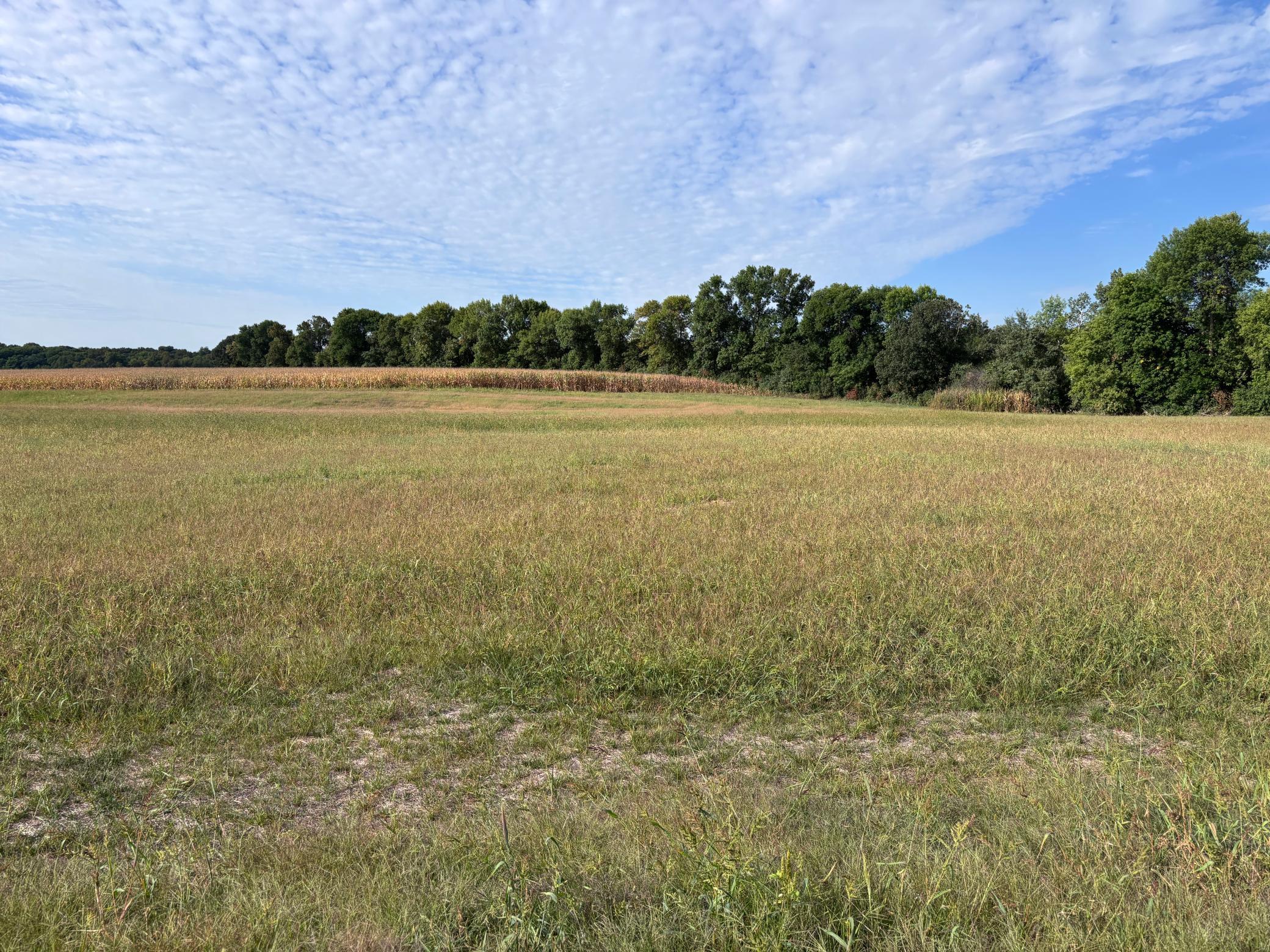 Property photo for TBD Lot 7 BLK 3 Chainview Court NW, Alexandria, MN 56308