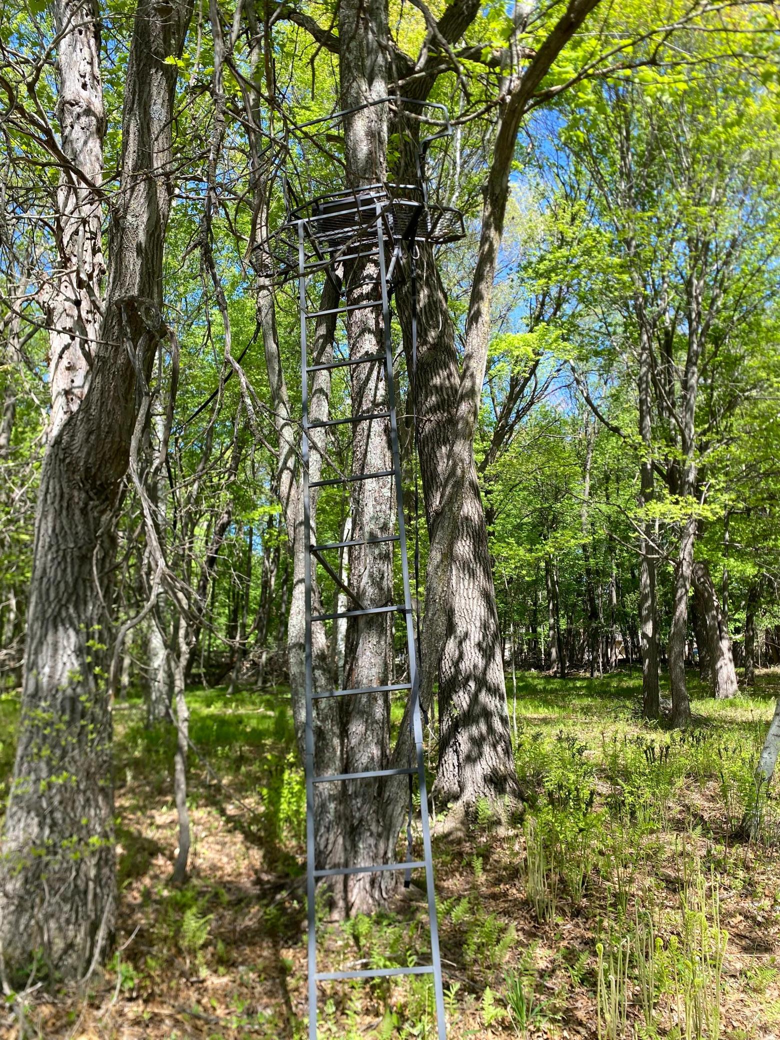 Deer Stand in yard #1