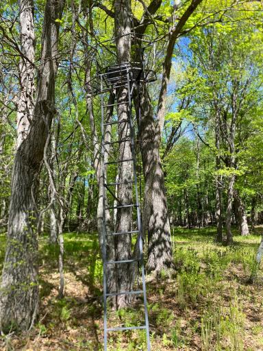 4620 229th Avenue NE, Bethel, MN 55005