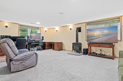 Family Room downstairs, Spacious Area with a walk out to the yard.
