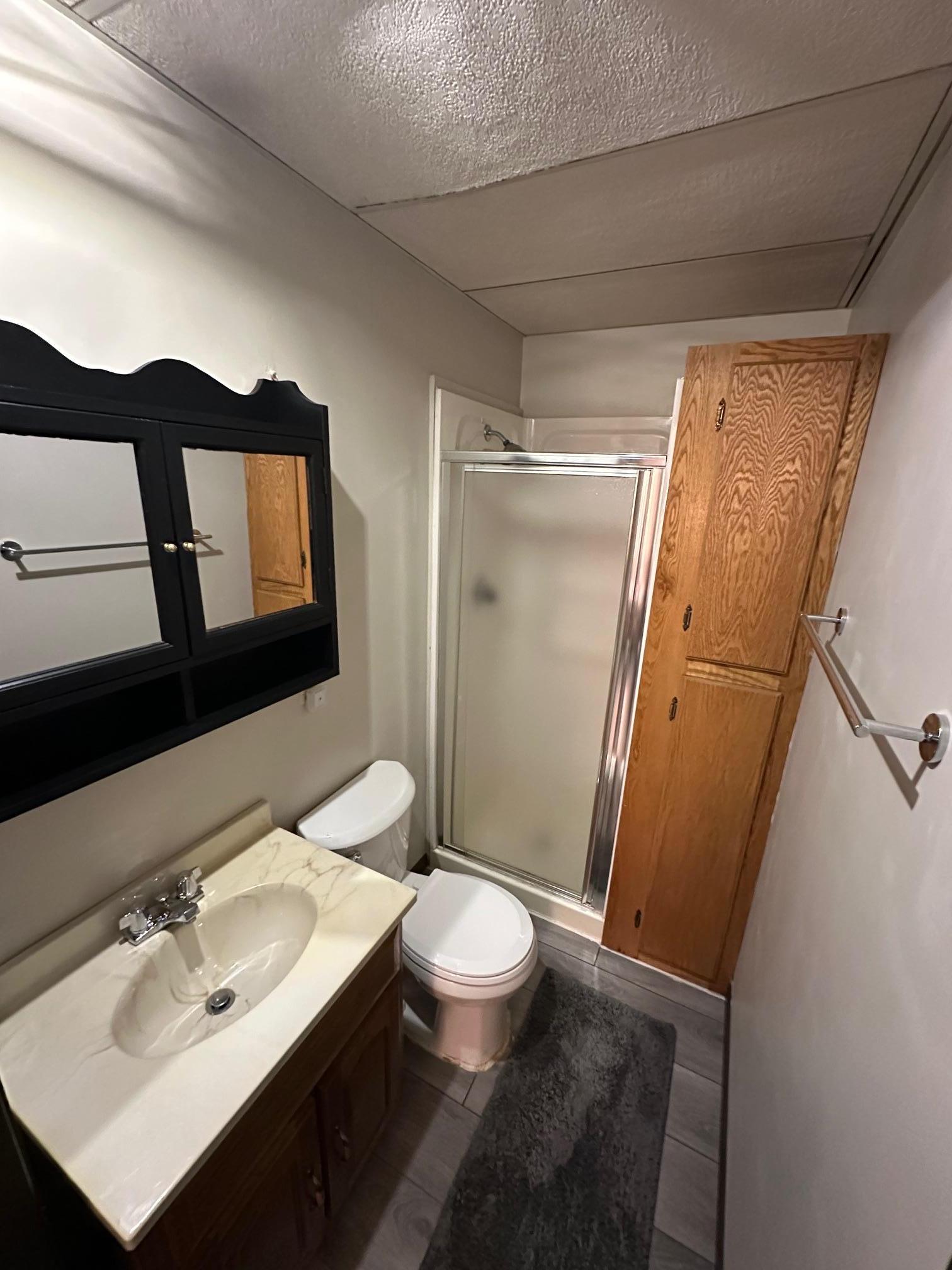 Lower level 3/4 bathroom